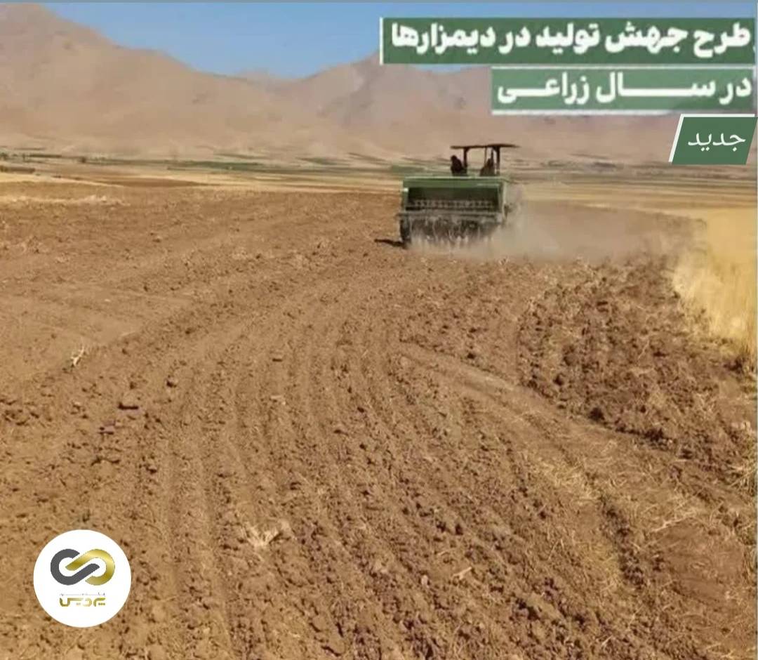 اجرای طرح جهش تولید در ۳۷۰ هزار هکتار از دیمزارهای لرستان